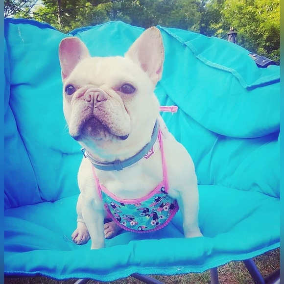 Like ❤️ this Listing To be notified of my Auctions! - Picture 9 of 16